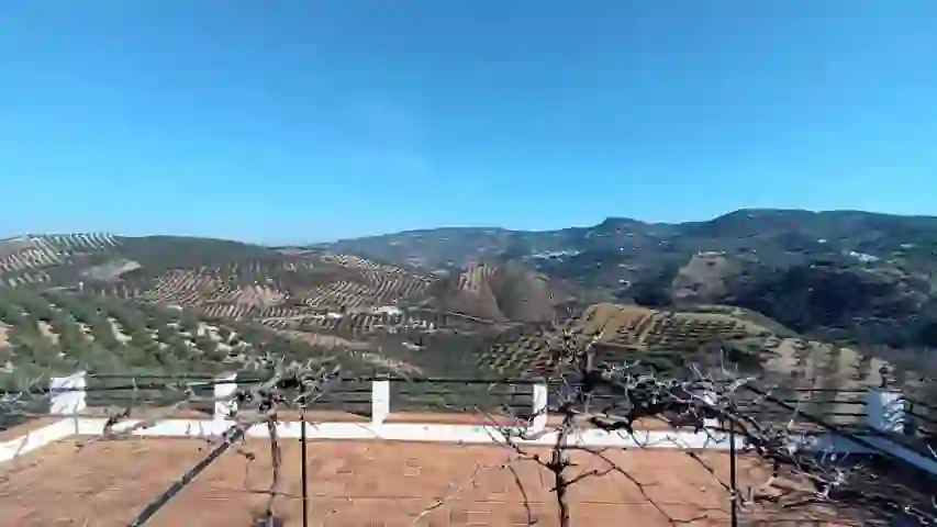 Imagen 2 de la propiedad vtap-097