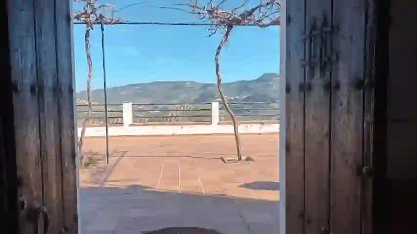 Imagen 25 de la propiedad vtap-097