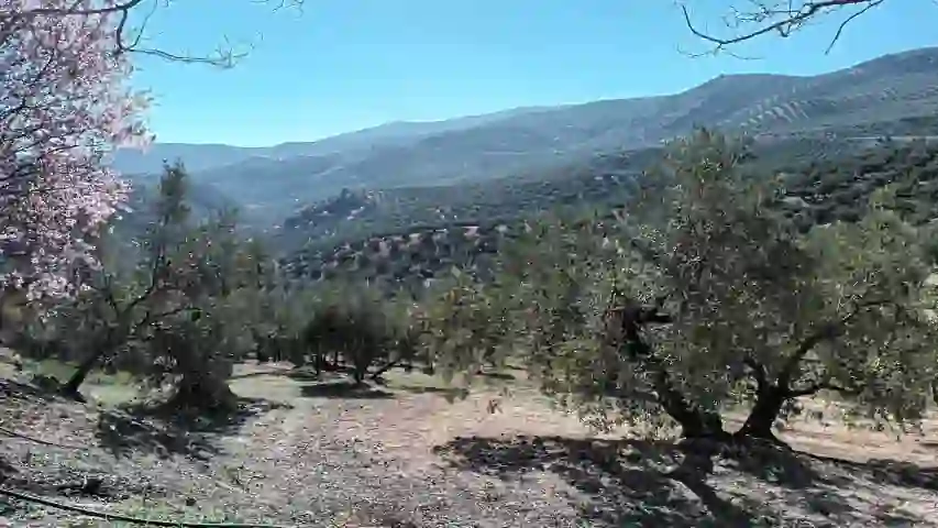 Imagen 47 de la propiedad vtap-097