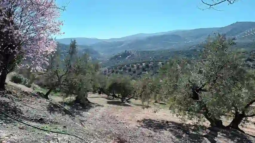 Imagen 48 de la propiedad vtap-097
